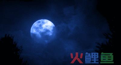 营销大赛策划书模板_宝马营销策划书_户外用品营销大赛策划书