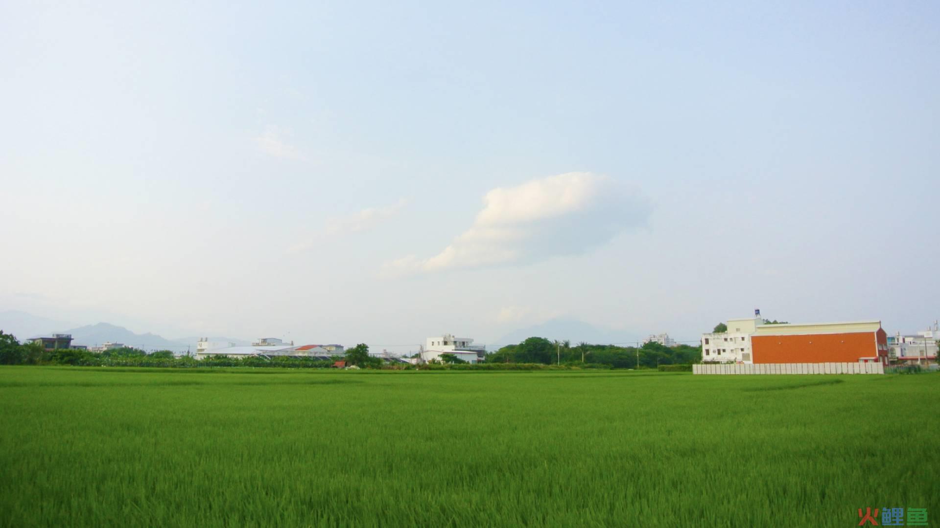 土特产全案策划.jpg