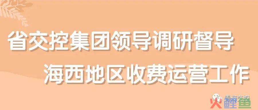 市场调研公司收费，省交控集团领导调研督导海西地区收费运营工作