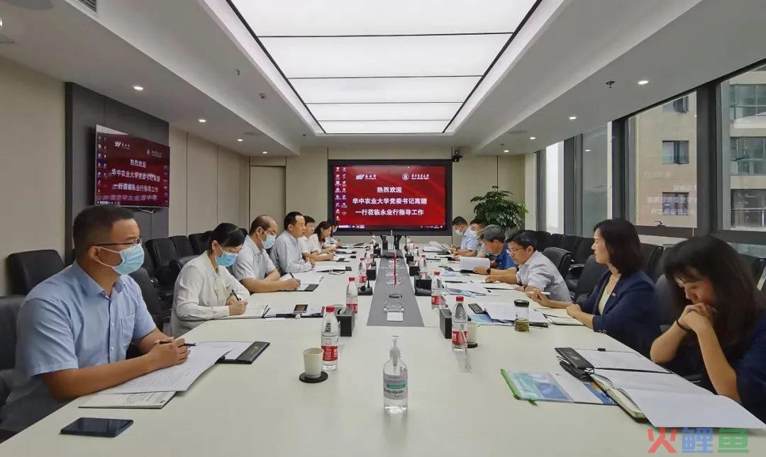河北票据市场协会调研_软件项目市场 调研_区域市场调研