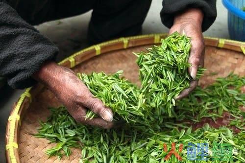 茶叶营销策划，茶叶软文如何推广