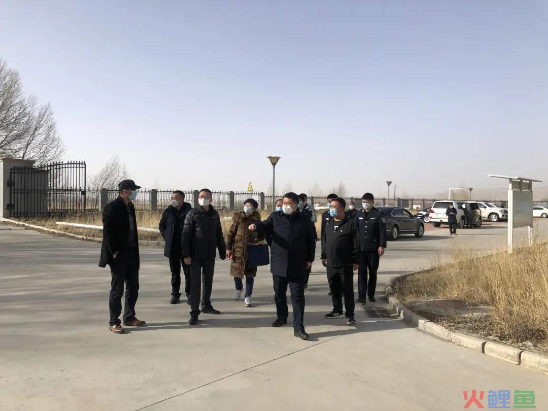 市场 调研 方案_电子书阅读器市场发展现状调研及投资预测报告灵核网_市场调研公司收费