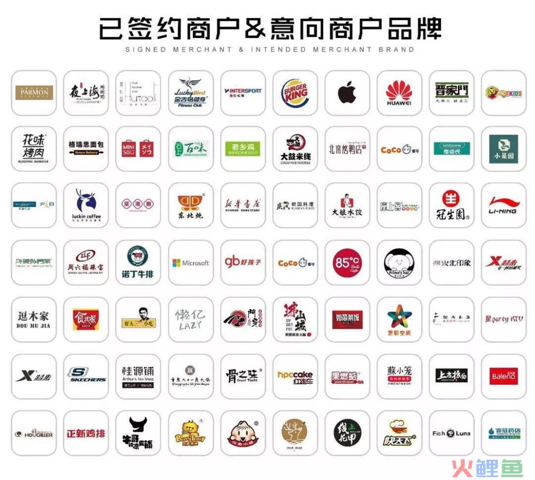 网络品牌策划方案，泰安网络公司  营销策划对中小企业在网络品牌营销的效果！