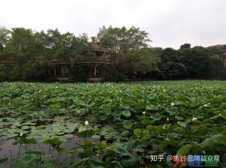 一统理念(北京)品牌策划有限公司，品牌策划与企业品牌设计的核心思想理念是什么？