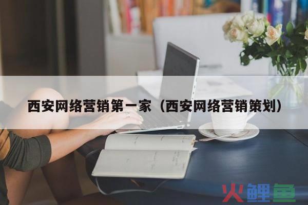 经典营销策划，西安网络营销第一家 西安网络营销策划