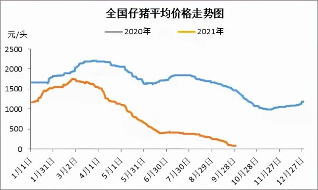 河北票据市场协会调研_徐州猪肉市场调研_赤峰市市场行业调研