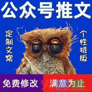 软文怎么写软文营销_内容营销软文价格_软文发布推广软文营销