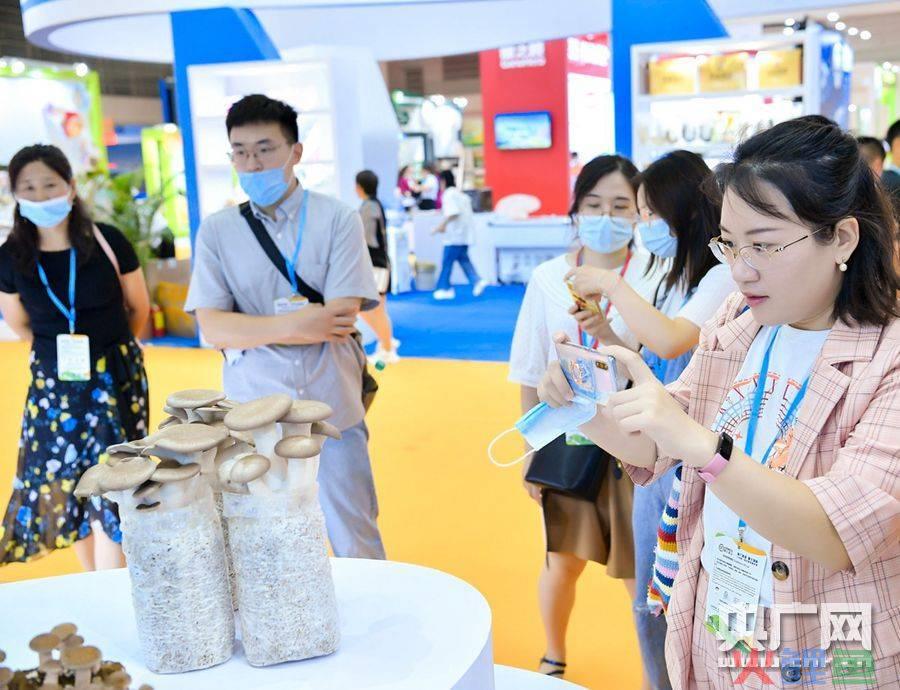 厦门餐饮品牌策划_成都餐饮策划_厦门餐饮品牌设计公司