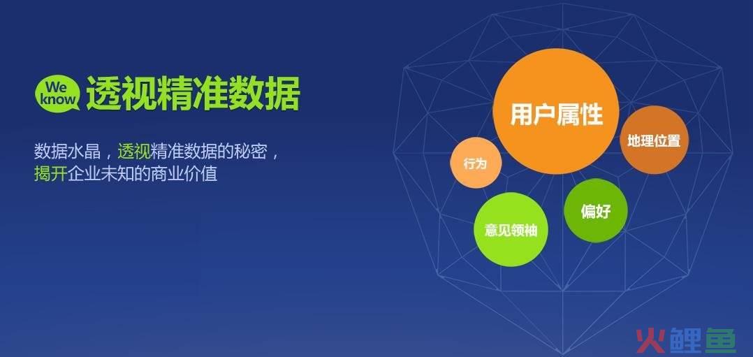 大数据营销的缺点_大数据的优点和缺点_陈刚 李丛杉关键时刻战略：激活大数据营销
