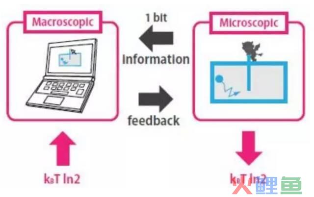 “麦克斯韦妖”现身量子天下，揭秘能量与信息之间的本质关系