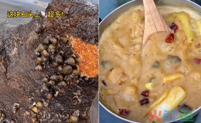 网红晚晚佳耦下河捞蚌!简单处置烹煮摆盘,晚晚大口塞肉脸色享用