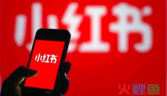抖音 快手 淘宝直播 小红书 微信 微博:新媒体最全运营指南
