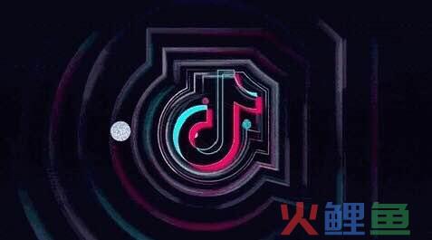 抖音 快手 淘宝直播 小红书 微信 微博:新媒体最全运营指南