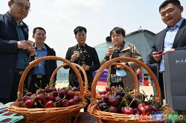 两小时下单万余斤!“甜蜜栖霞 只樱邮你”短视频直播带货节启动