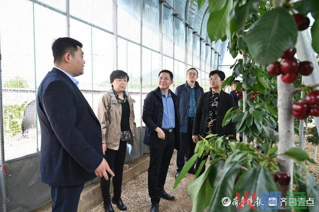 两小时下单万余斤!“甜蜜栖霞 只樱邮你”短视频直播带货节启动
