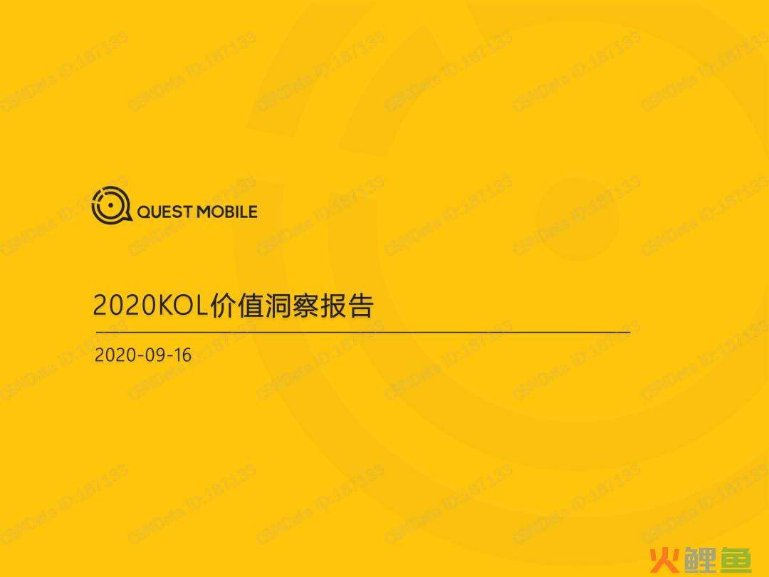2020 KOL价值洞察报告