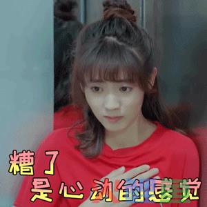 中国程序员生存现状？
