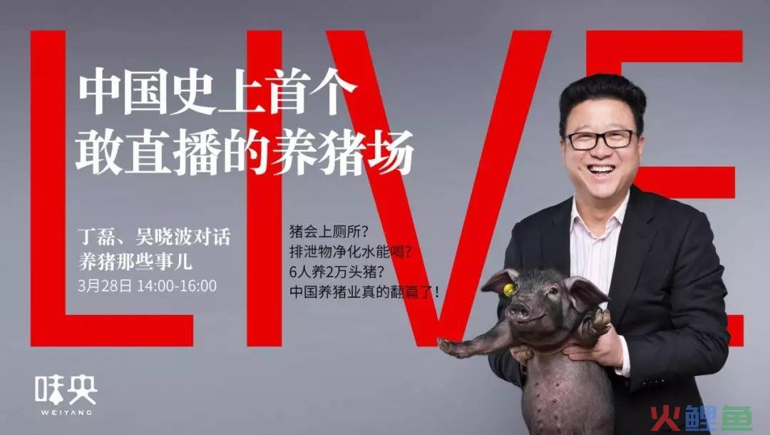 内部分享 | 王者荣耀、网易考拉是这样做活动的! 内部分享 | 王者荣耀、网易考拉是这样做活动的!