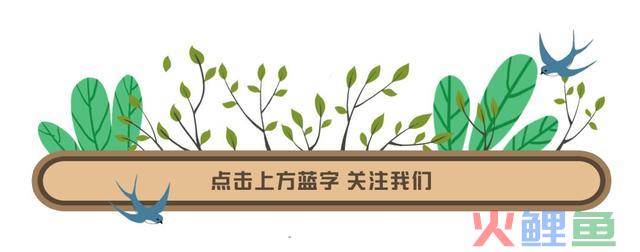 聚焦丨中共中央 国务院印发《黄河流域生态保护和高质量发展规划纲要》