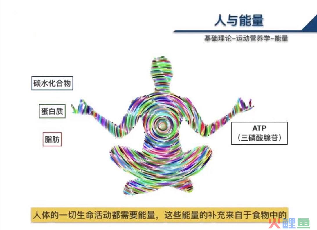 运动营养学-能量摄入 - 火鲤鱼-专注小微企业服务