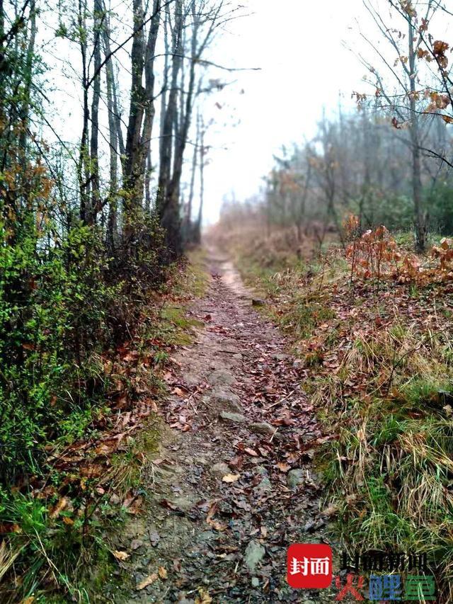 湖北房县“墓地凶案”4年后宣判：疑罪从无的真凶从“无罪”到“无期”