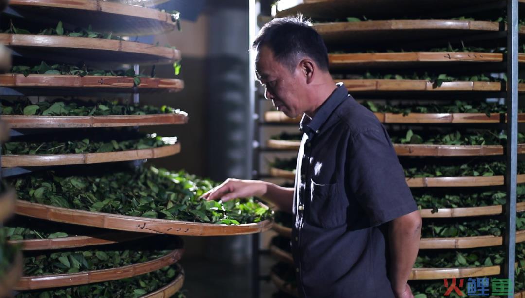 ​产业带备战春茶季，中小茶商在抖音电商应该如何发力？