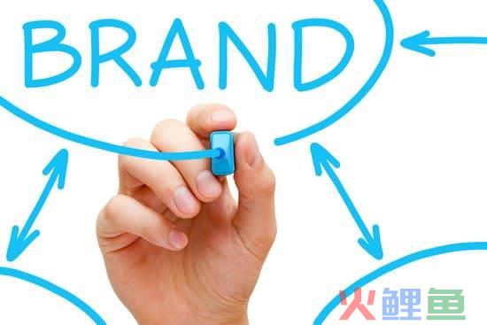 品牌网络营销策划(覃雨泽)