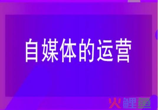影响百家号推送量的因素有哪些？你们知道几个？