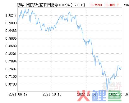 鹏华中证移动互联网指数(LOF)A净值下跌1.07% 请保持关注