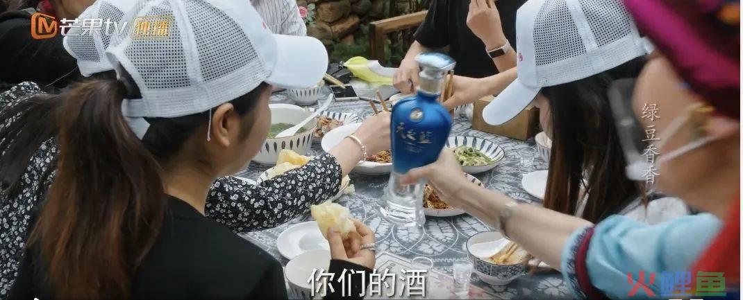 Q1剧综品牌投放观察：药企异军突起，衍生综艺打开局面