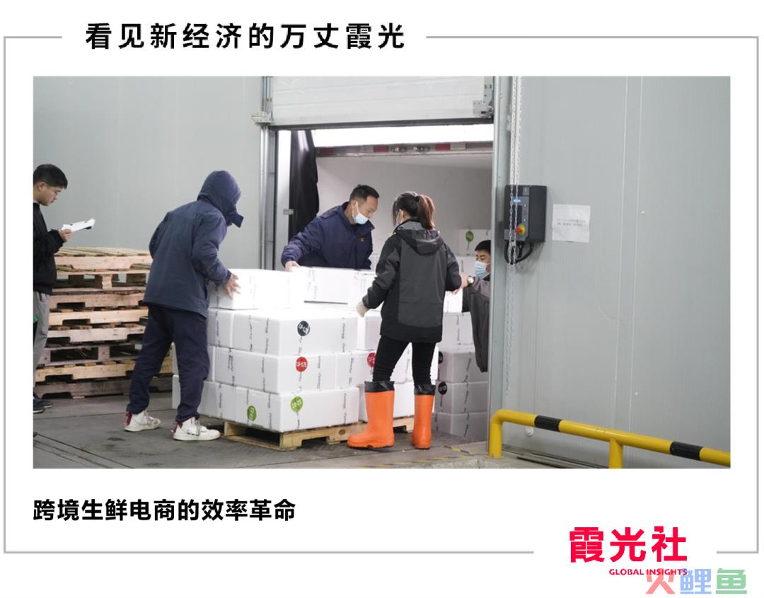 一只波士顿龙虾的17小时极速跨境之旅(跨境电商物流难题)