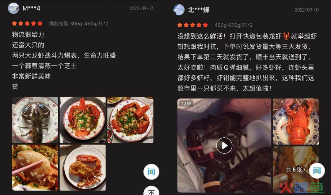 一只波士顿龙虾的17小时极速跨境之旅(跨境电商物流难题)