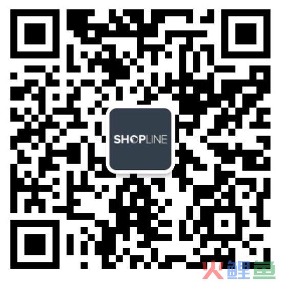 跨境电商龙头获资本青睐，中小卖家路在何方？(跨境电商龙头)