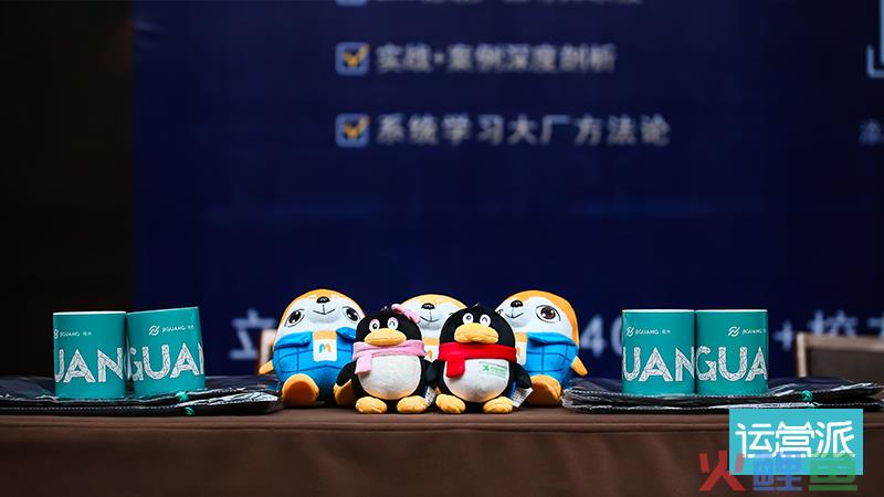 出圈了才叫IP，没出圈只是形象
