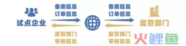 好消息！跨境电商综试区成员纳新，宁波是个“尖子生”！(杭州保税区跨境购)