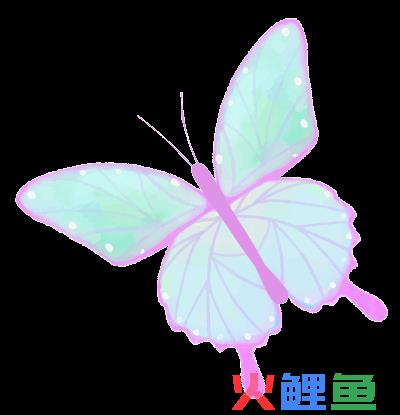 活动推荐 | 黑龙江省跨境电商招商推介会(黑龙江跨境电商)