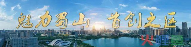 《声见蜀山·光荣与梦想》| 四十三自贸新引擎打造开局新气象(合肥跨境电商培训)