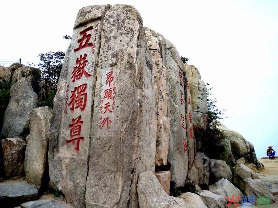 山东电商总路演看泰安：电商各行业稳步发展，共创泰安新经济！(泰安 跨境电商)