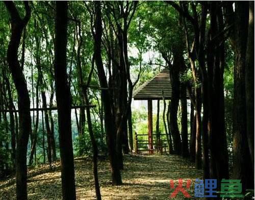 旗峰有约！ 一场东莞跨境电商交流圈徒步之旅即将开启(东莞市跨境电商)