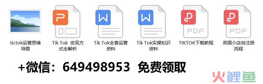 tiktok跨境电商商品,tiktok跨境电商如何开通(跨境电商用户画像)
