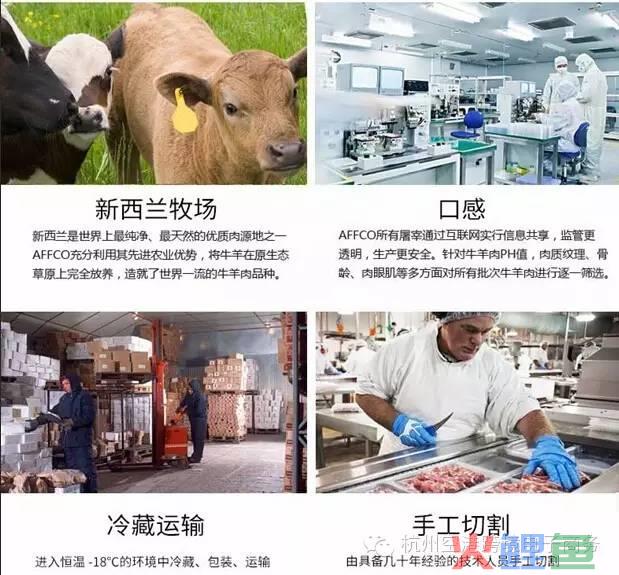 元宵福利！空港跨境园将迎来全国首单新西兰原包跨境牛羊肉(空港跨境 官网)