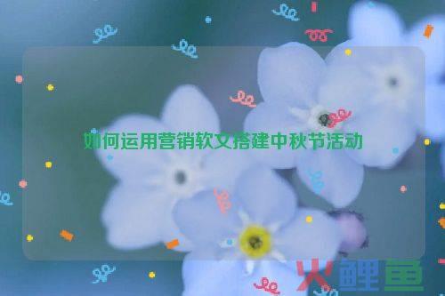 中秋活动产品营销文案，如何运用营销软文搭建中秋节活动