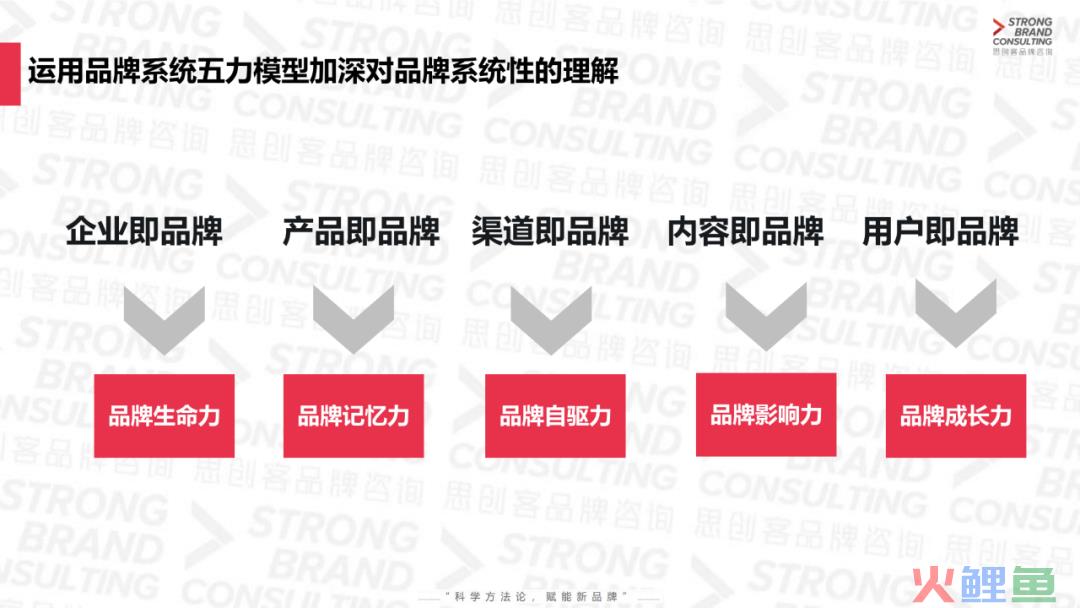 对话思创客李婷：运营为什么需要品牌思维？