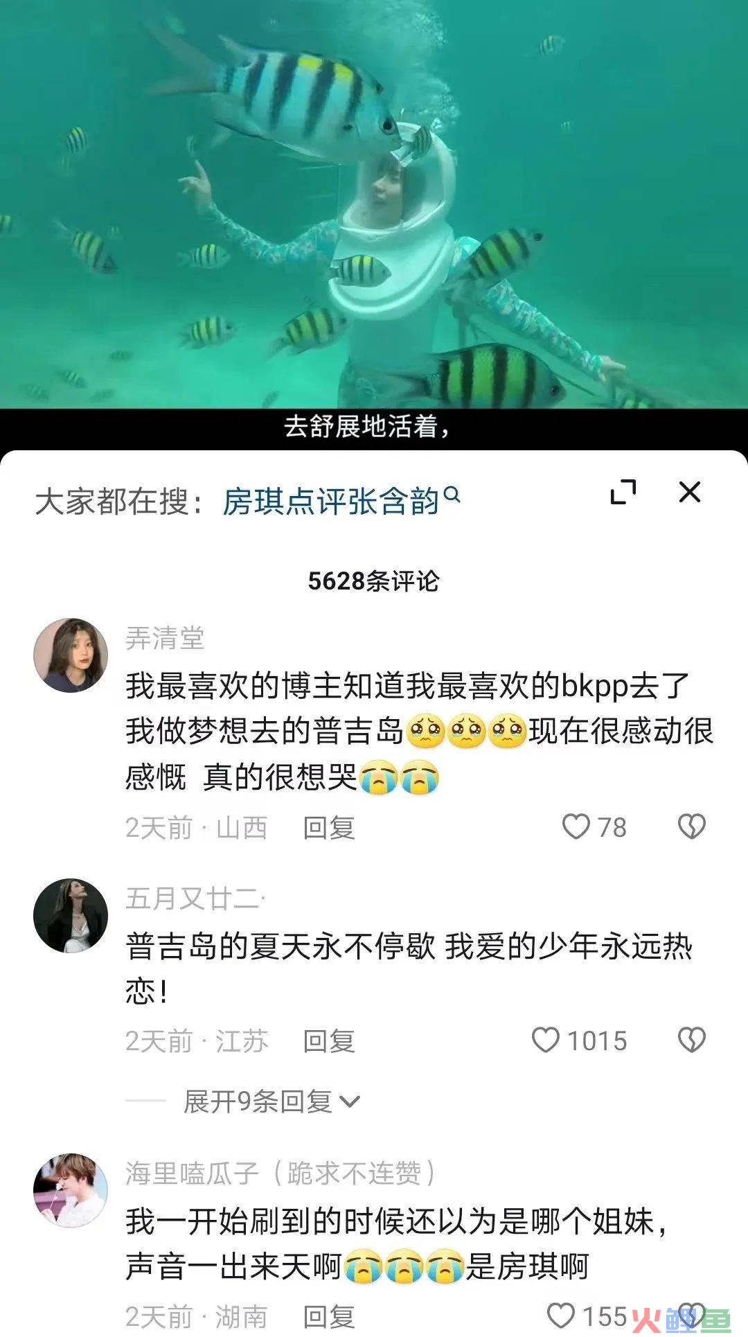 从央视辞职后变身千万级别大网红！这是什么爽文女主