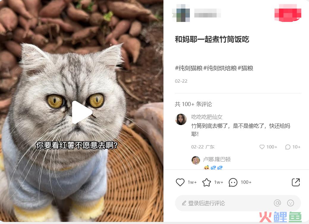 长期主义做品牌OR上线即能卖货,不同运营目的下分别如何进行新品起盘?