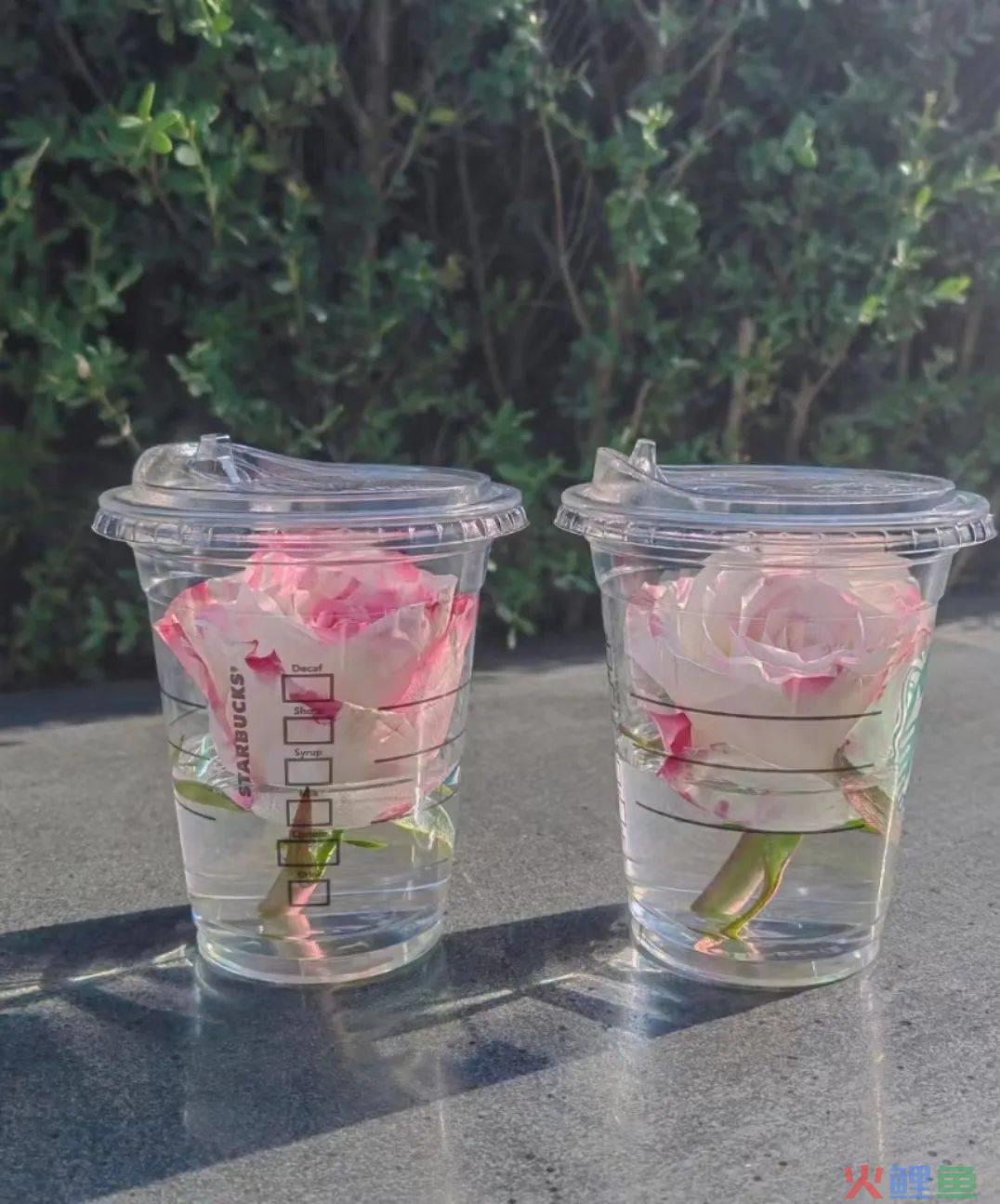 鲜花+奶茶杯，“春日营销”王炸组合！