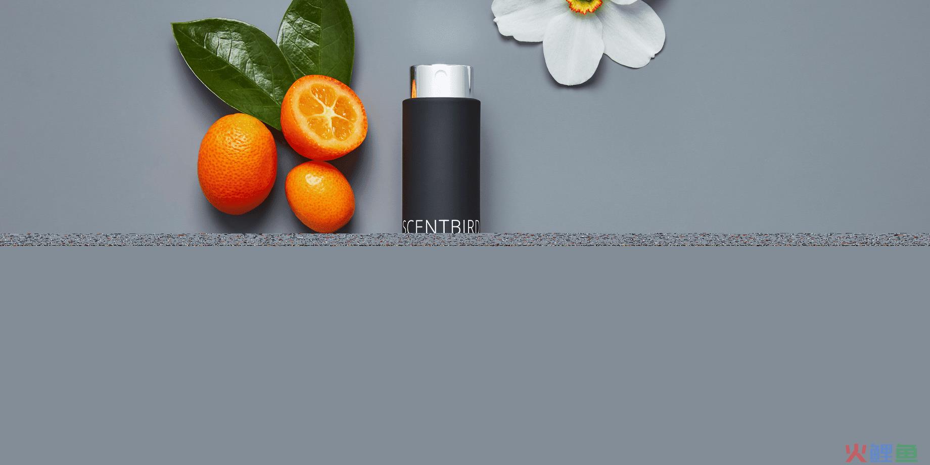 香氛DTC品牌Scentbird从0到月收$百万的4大增长策略