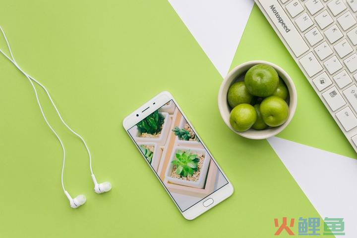 韩国商标能使用多久？需要通过哪些审查