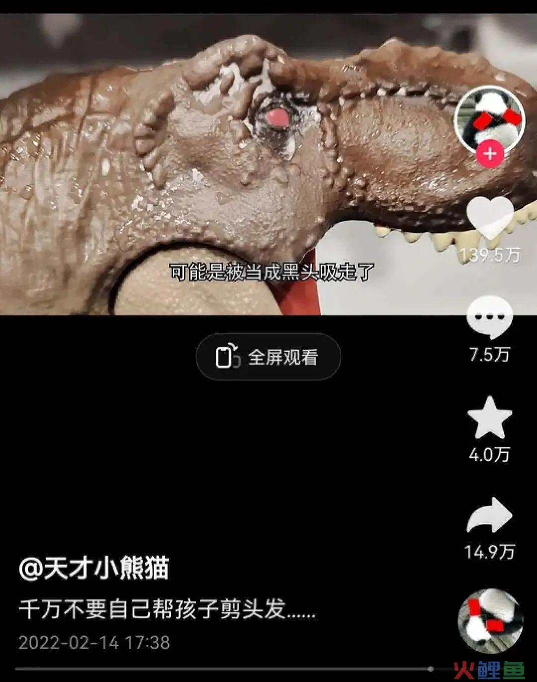 小狮日记：短视频不必追求共鸣，提供一个无厘头的解决方案也可以