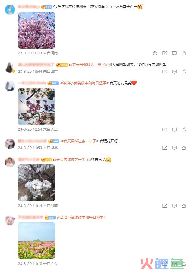 一起种下一个更久的春天?洽洽解锁绿色营销新范本